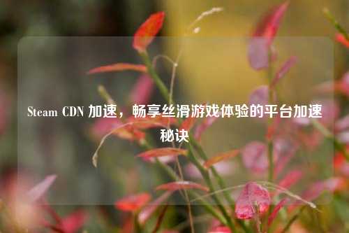 Steam CDN 加速，畅享丝滑游戏体验的平台加速秘诀