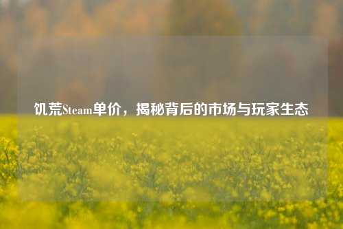 饥荒Steam单价,揭秘背后的市场与玩家生态