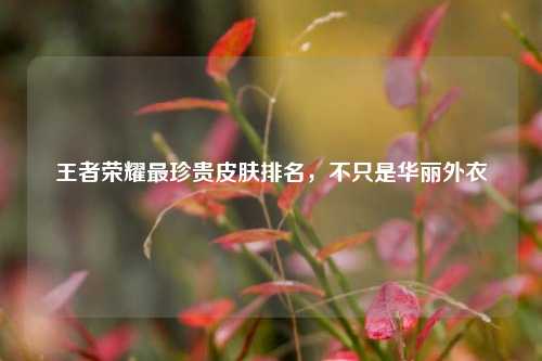 王者荣耀最珍贵皮肤排名,不只是华丽外衣