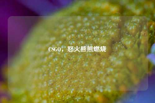 CSGO,怒火熊熊燃烧