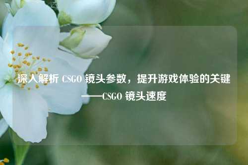 深入解析 CSGO 镜头参数,提升游戏体验的关键——CSGO 镜头速度