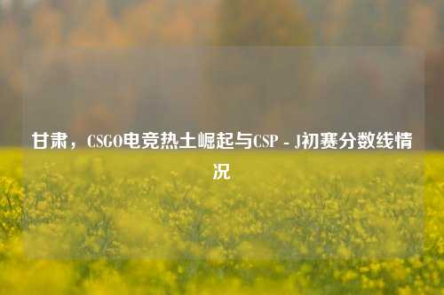 甘肃，CSGO电竞热土崛起与CSP - J初赛分数线情况