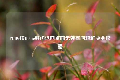 PUBG按Home键闪退回桌面无弹窗问题解决全攻略