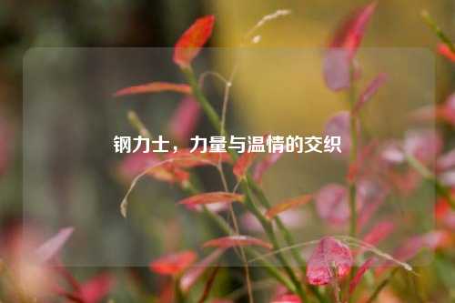 钢力士，力量与温情的交织