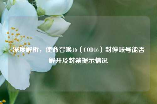 深度解析,使命召唤16(COD16)封停账号能否解开及封禁提示情况