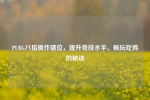 PUBG八指操作键位,提升竞技水平、畅玩吃鸡的秘诀