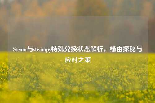 Steam与steampy特殊兑换状态解析，缘由探秘与应对之策