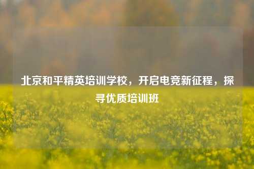 北京和平精英培训学校,开启电竞新征程,探寻优质培训班