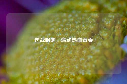 逆战唱响,燃动热血青春