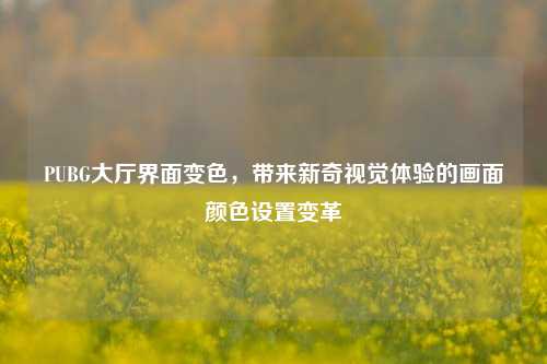 PUBG大厅界面变色,带来新奇视觉体验的画面颜色设置变革