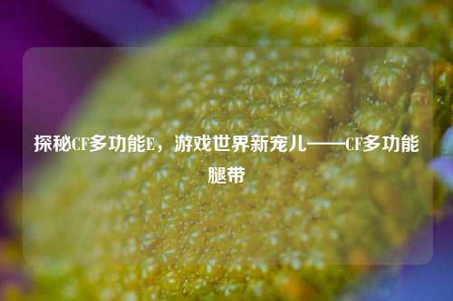 探秘CF多功能E,游戏世界新宠儿——CF多功能腿带