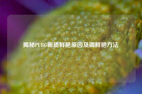 揭秘PUBG画质鲜艳原因及调鲜艳方法