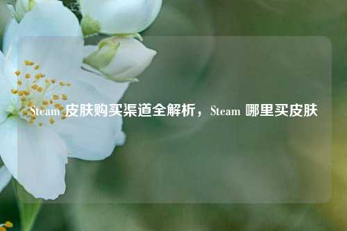 Steam 皮肤购买渠道全解析,Steam 哪里买皮肤