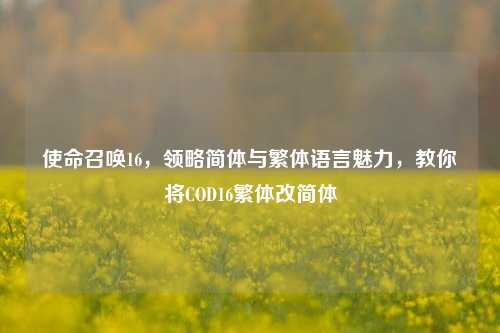使命召唤16,领略简体与繁体语言魅力,教你将COD16繁体改简体