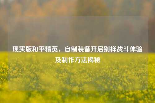 现实版和平精英,自制装备开启别样战斗体验及制作方法揭秘