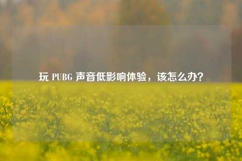 玩 PUBG 声音低影响体验,该怎么办?