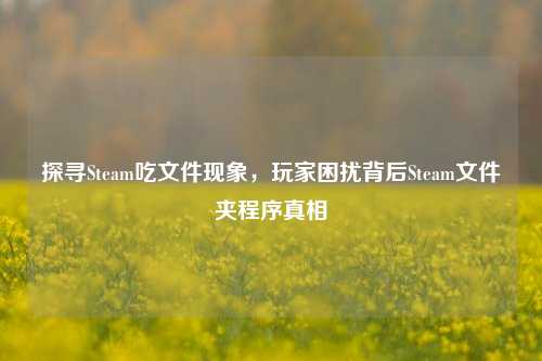探寻Steam吃文件现象,玩家困扰背后Steam文件夹程序真相