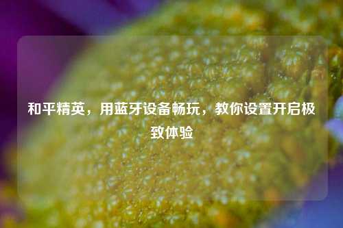 和平精英,用蓝牙设备畅玩,教你设置开启极致体验