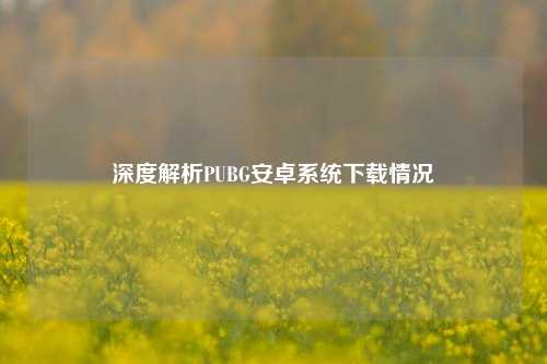 深度解析PUBG安卓系统下载情况