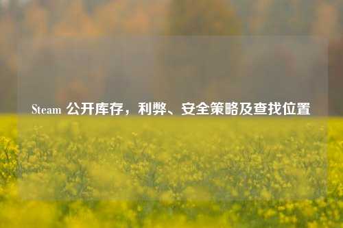Steam 公开库存,利弊、安全策略及查找位置