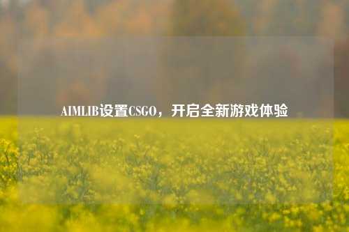 AIMLIB设置CSGO,开启全新游戏体验