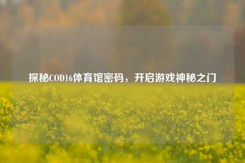 探秘COD16体育馆密码,开启游戏神秘之门