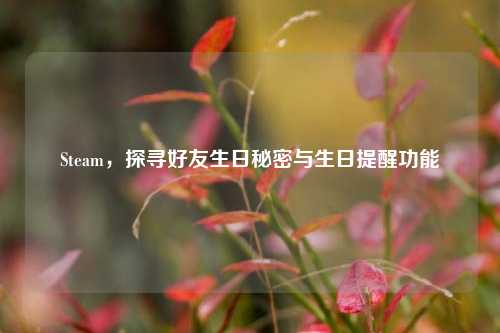 Steam,探寻好友生日秘密与生日提醒功能