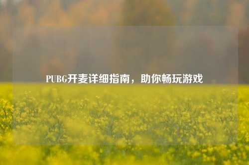 PUBG开麦详细指南,助你畅玩游戏