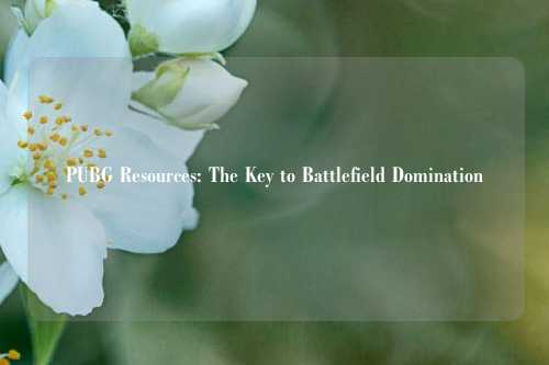 PUBG Resources: The Key to Battlefield Domination
