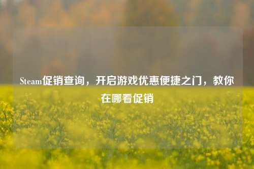 Steam促销查询,开启游戏优惠便捷之门,教你在哪看促销