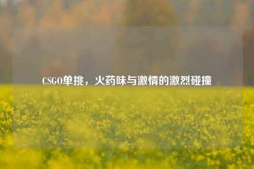 CSGO单挑，火药味与激情的激烈碰撞
