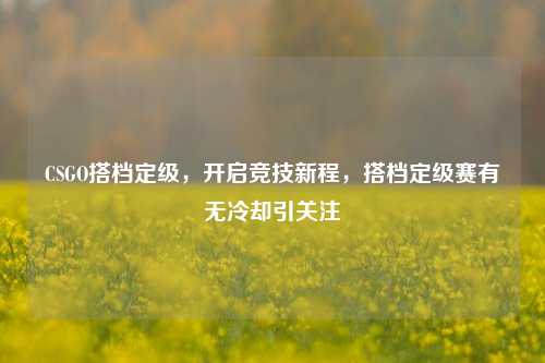 CSGO搭档定级,开启竞技新程,搭档定级赛有无冷却引关注