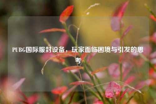PUBG国际服封设备,玩家面临困境与引发的思考