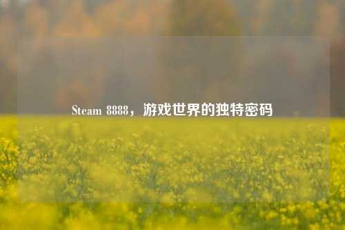 Steam 8888,游戏世界的独特密码
