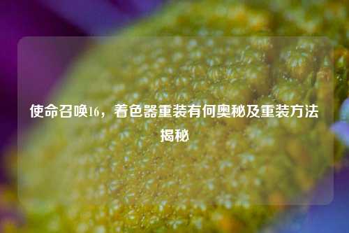 使命召唤16,着色器重装有何奥秘及重装方法揭秘