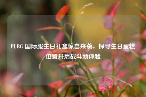 PUBG 国际服生日礼盒惊喜来袭,探寻生日蛋糕位置开启战斗新体验