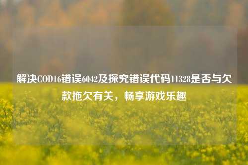 解决COD16错误6042及探究错误代码11328是否与欠款拖欠有关，畅享游戏乐趣