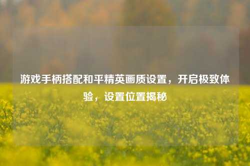 游戏手柄搭配和平精英画质设置，开启极致体验，设置位置揭秘