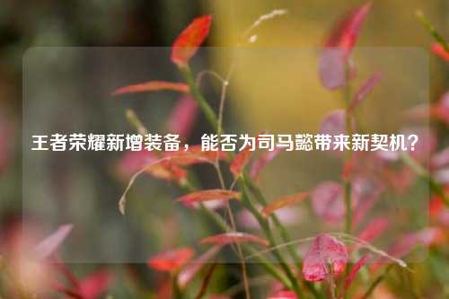 王者荣耀新增装备,能否为司马懿带来新契机?